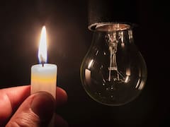 Bono Social Eléctrico: el descuento de más del 50% en la factura de luz que beneficia a miles de personas