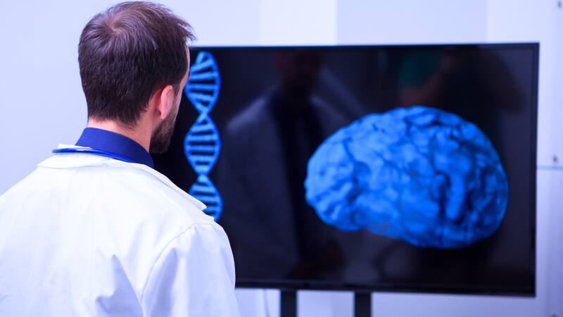 Uno a uno, todos los hábitos que habría que modificar para cuidar el cerebro y la memoria.