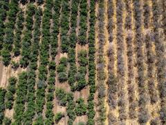 Al Gobierno siempre le faltan dólares y al campo ahora le falta agua