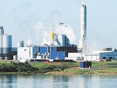 Uruguay: corre riesgo la construcción de la segunda pastera de los dueños de la ex Botnia