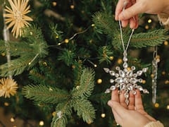 Se despide el árbol de Navidad: la tendencia europea que gana terreno por su bajo costo