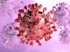 Alerta COVID: la extraña mutación que hace que Kraken sea muy contagiosa, ¿cuáles son los síntomas?