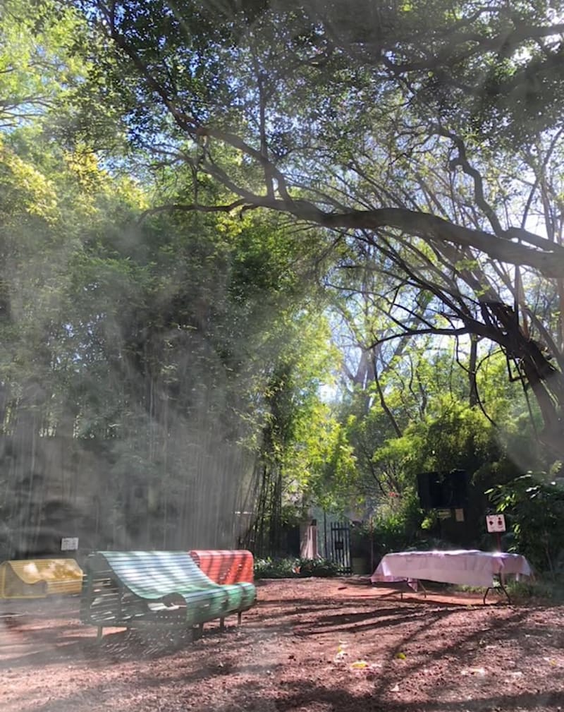 Su preservación y conservación son de suma importancia para las autoridades locales y organizaciones, que trabajan en conjunto para proteger su patrimonio único. Foto: chapultepec.org.mx