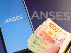 Super crédito de ANSES: en julio estas personas van a poder acceder a medio millón de pesos