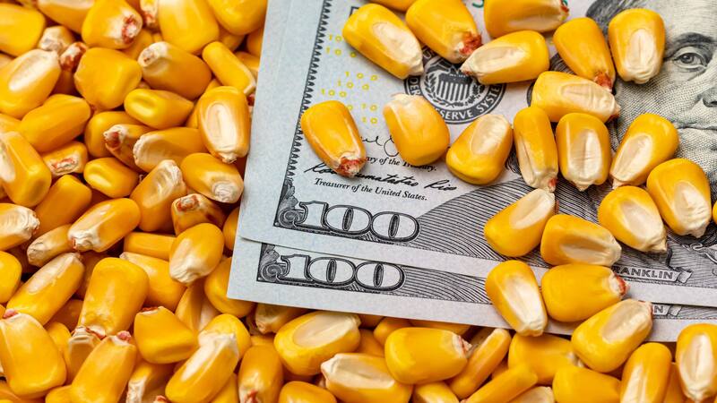 El dólar agro incluyó al maíz y presiona a la inflación de los alimentos