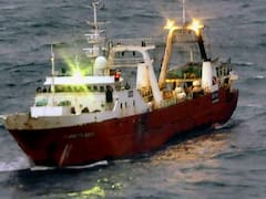 La importancia de la producción pesquera