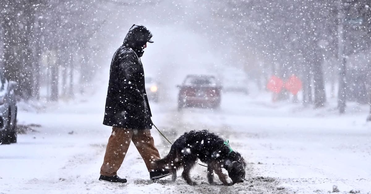 Snow Weather December A snowy Christmas: new map reveals the states that will get snow on ...