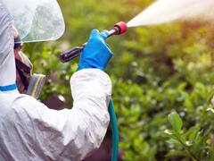 Denuncian que dos tercios del suelo español está contaminado: a qué se debe