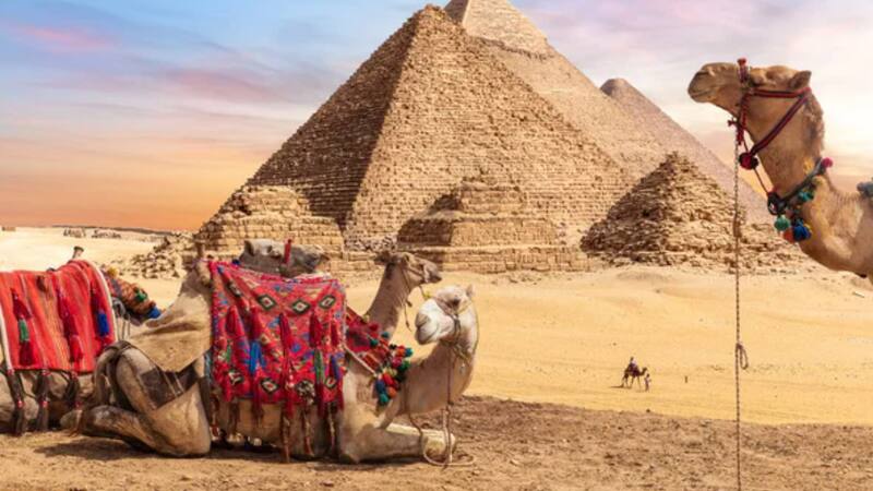 Turismo Felgueres se autodefinía como una empresa de viajes dedicada al turismo de lujo en destinos exóticos.