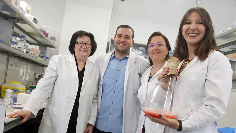 El hallazgo científico que cambia para siempre el tratamiento del cáncer: investigadores españoles descubren un pigmento anticancerígeno.