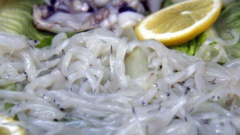 Receta de angulas a la Bilbaína: descubre el sabor del País Vasco en pocos pasos.