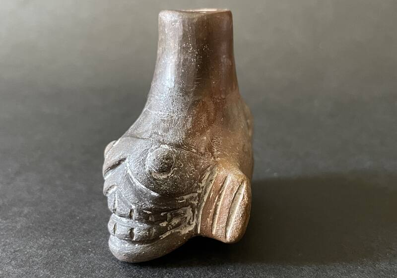 Otra de las imágenes compartidas del "silbato de la muerte". Fuente: Universidad de Zúrich.