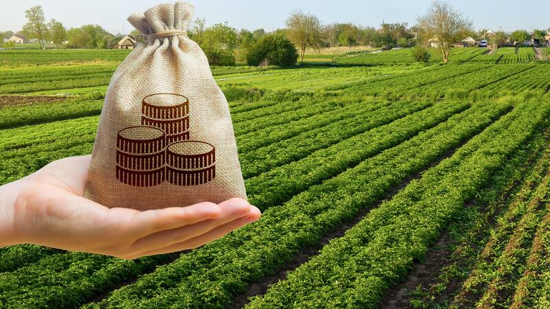 Hay mayor demanda y poca oferta para campos agrícolas muy buenos