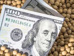 Dólares y reservas: la caída de los precios internacionales genera pérdidas millonarias para el campo