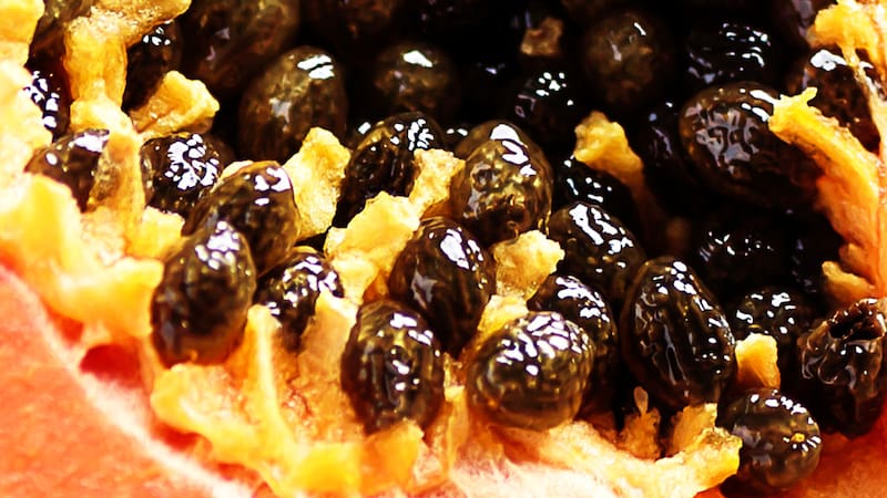 <div class="migrated-promo-image__description"><div class="migrated-promo-image__source">Fuente: ShutterStock</div></div>