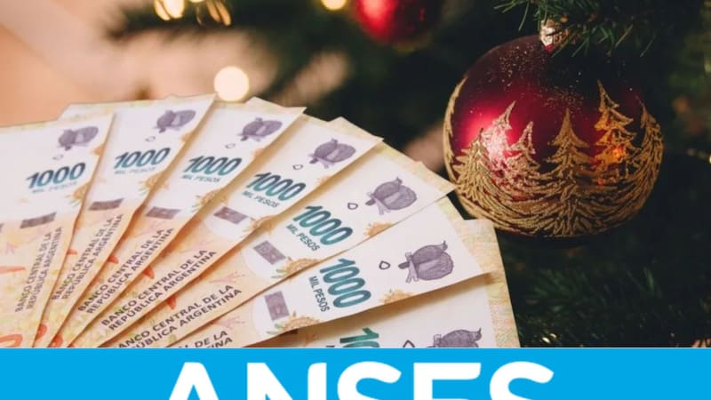 <div class="migrated-promo-image__description"><div class="migrated-promo-image__source">Fuente: ANSES</div></div>