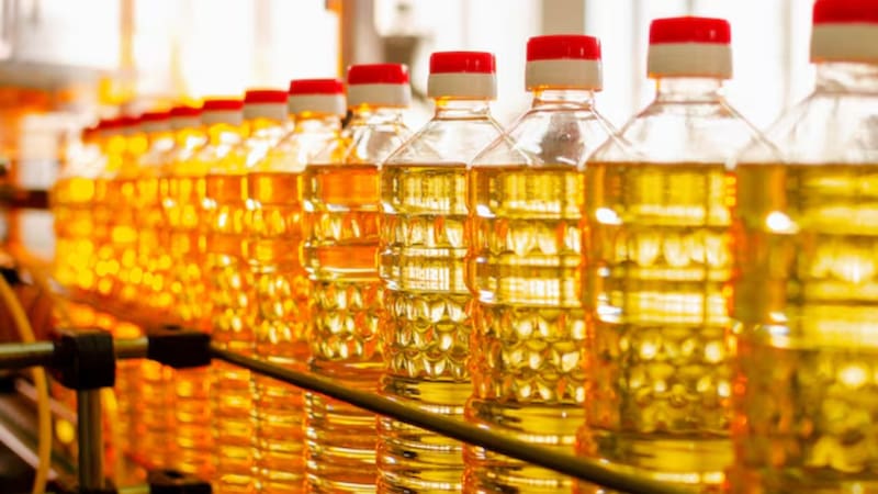 <div class="migrated-promo-image__description"><div class="migrated-promo-image__source">Fuente: Freepik</div></div>