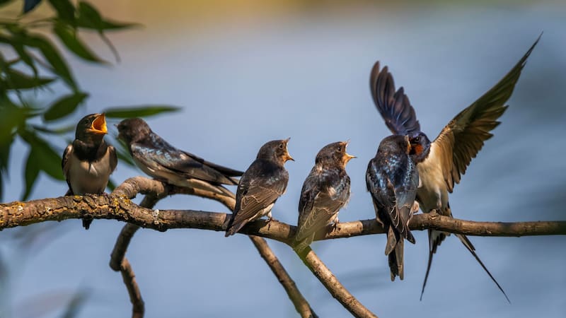 <div class="migrated-promo-image__description"><div class="migrated-promo-image__source">Fuente: Shutterstock</div></div>