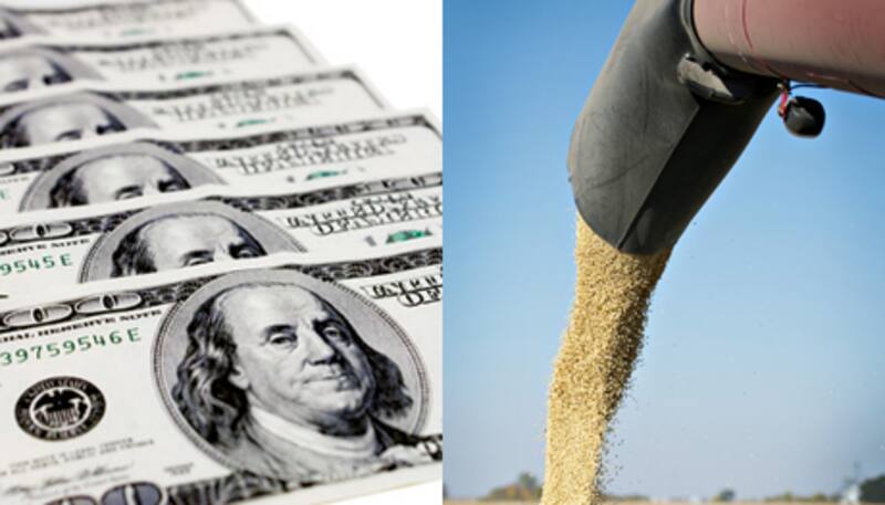 "El dólar soja es un fiasco", el análisis de Salvador Di Stefano.