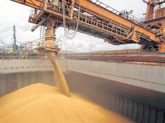 Las exportaciones cayeron 5%, pero igual hubo superávit de $ 1183 millones