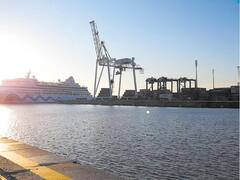 Hay récord de turistas de cruceros en Puerto Nuevo