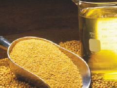 La sequía argentina pega en el aceite de soja: la industria en alerta por la producción