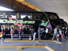 Micros de larga distancia: las empresas dejan de vender pasajes para las Fiestas y el verano por la incertidumbre pre-electoral