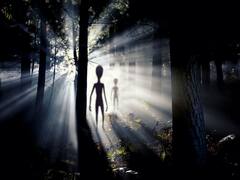 ¿Existen los extraterrestres? La curiosa teoría que afirma su existencia en un "bosque oscuro"