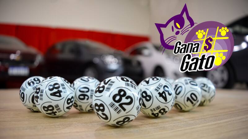 <div class="migrated-promo-image__description"><div class="migrated-promo-image__source">Fuente: pixabay-edit-elcronista</div></div>