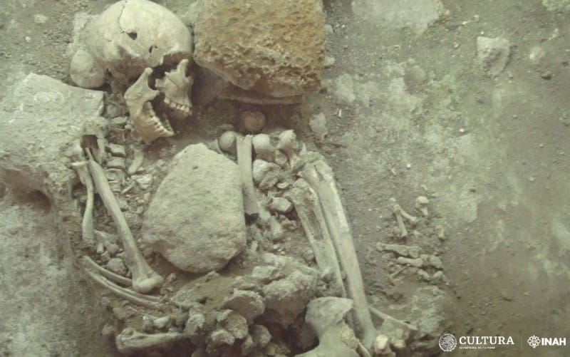 Los restos óseos que cambian todo lo que se sabe sobre el entiero del monje en el Palacio Cortés. Fuente: Archivo.