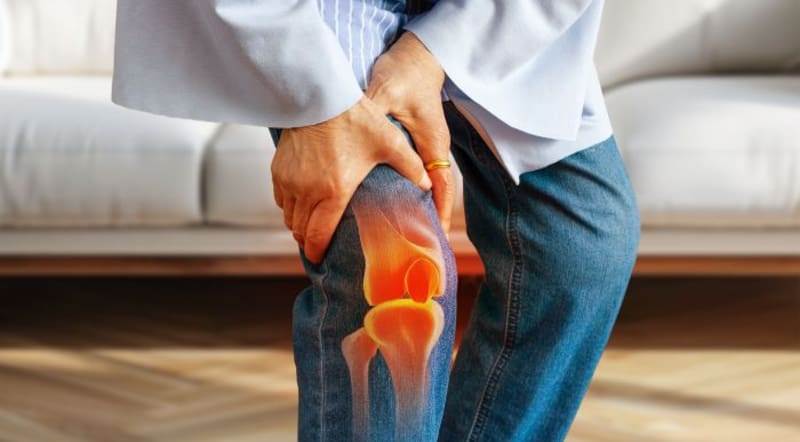 La planta medicinal que estimula la producción de colágeno y evita el dolor de rodilla y cadera