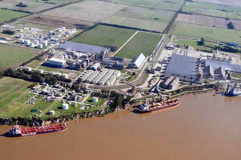 Bunge se fusiona con Viterra