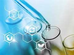 La única carrera que tiene salida laboral asegurada y paga $ 394.000 al mes: dónde se estudia