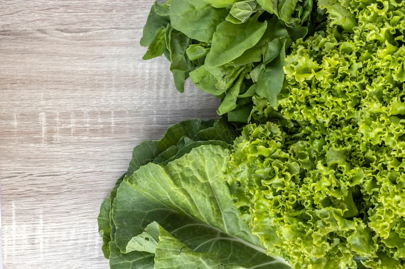 La lechuga no es un alimento recomendado para consumir en el espacio. (Foto: archivo)