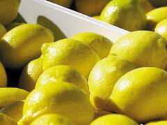 Estados Unidos habilita desde fin de mes el ingreso de limones argentinos