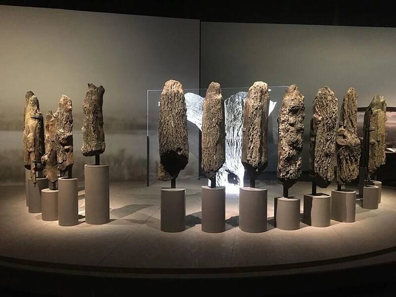 Exhibición de piezas de Seahenge. (Museo Británico)