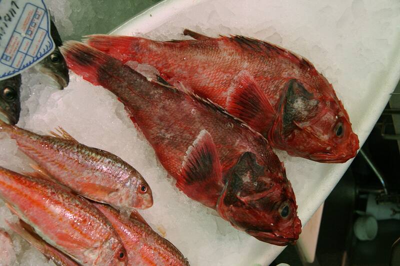 El cabracho es un pescado que tiene un sabor similar a los mariscos (Fuente: Wikimedia Commons)