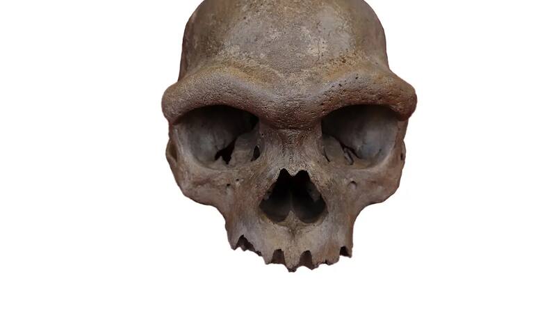 <div class="migrated-promo-image__description"><div class="migrated-promo-image__source">Fuente: Hebei GEO University</div></div>