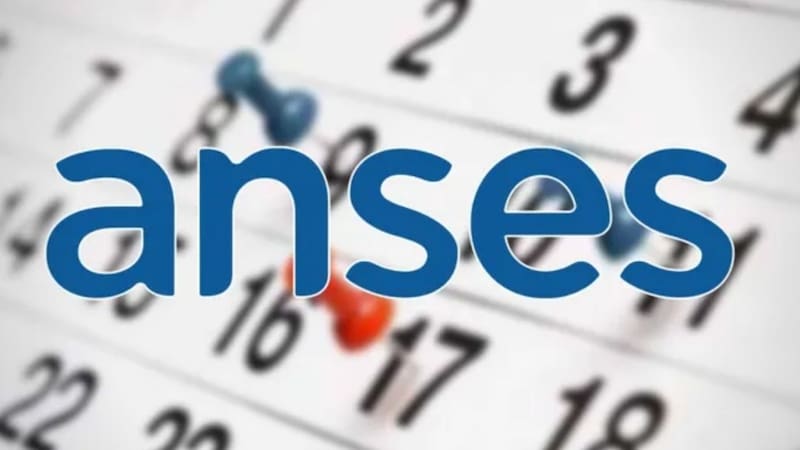 El calendario de la AUH ANSES de enero no tendrá interrupciones por feriados.