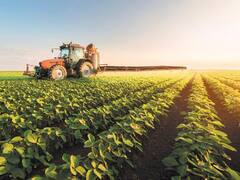 Por guerra comercial, alertan que la molienda argentina de soja caería 15%