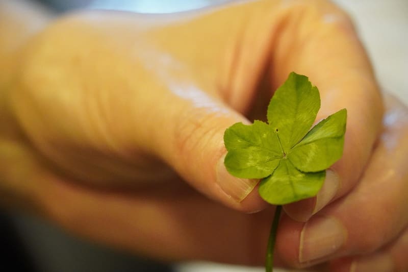 Resultados del Bonoloto en España (foto: Pexels).