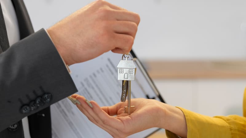 <div class="migrated-promo-image__description"><div class="migrated-promo-image__source">Fuente: Freepik</div></div>