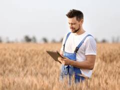 La innovación: el camino hacia la sostenibilidad del agro