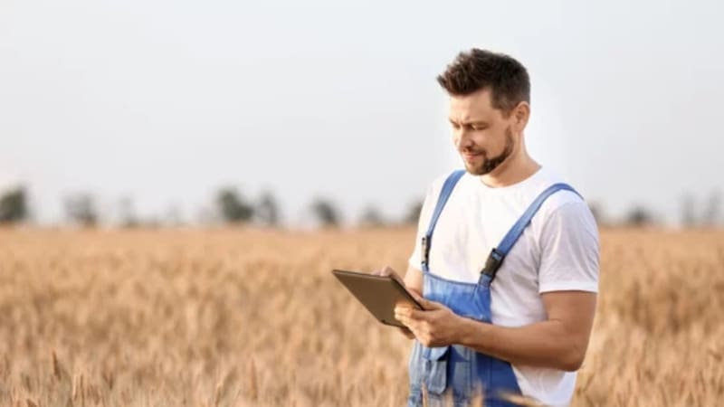 <div class="migrated-promo-image__description"><div class="migrated-promo-image__source">Fuente: Adobe Stock</div></div>