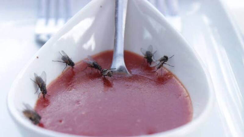 <div class="migrated-promo-image__description"><div class="migrated-promo-image__source">Fuente: iStock</div></div>