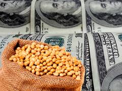 En busca de dólares: cuál es la nueva medida que prepara el Gobierno para el campo