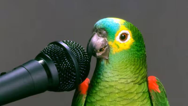 <div class="migrated-promo-image__description"><div class="migrated-promo-image__source">Fuente: Pinterest </div></div>