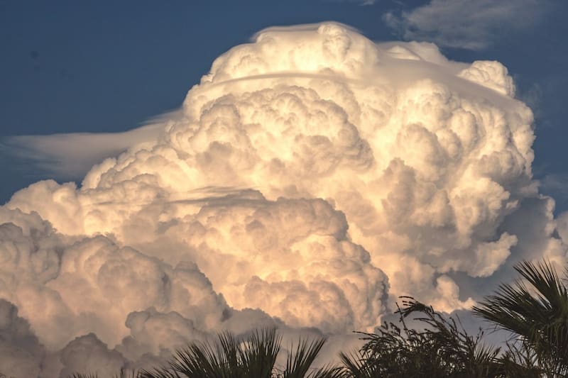 ¿Cómo está el clima en México hoy?