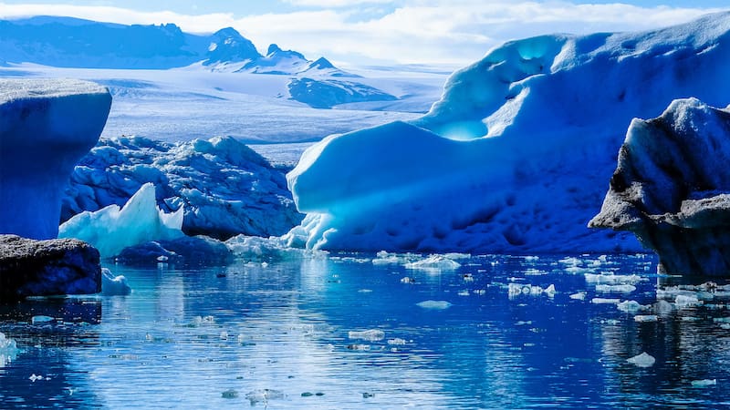 Hallan en la Antártida criaturas marinas nunca antes vistas que podrían reescribir la historia de la biología.