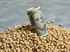 Volvió a subir la soja: ¿ya tocó su techo o puede llegar a 600 dólares?
